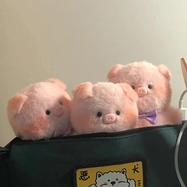 朋友圈图片，朋友圈图片折叠是怎么回事（分享一些治愈又个性的朋友圈背景图）