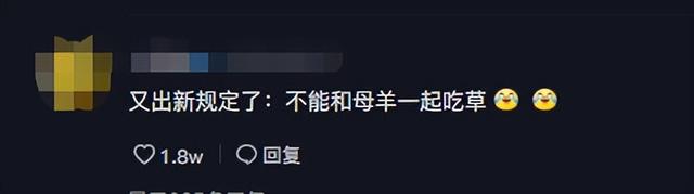 彪悍的蒙古汉子，蒙古人、维京人、萨摩亚人——哪个最强悍（202公里配送费584元）