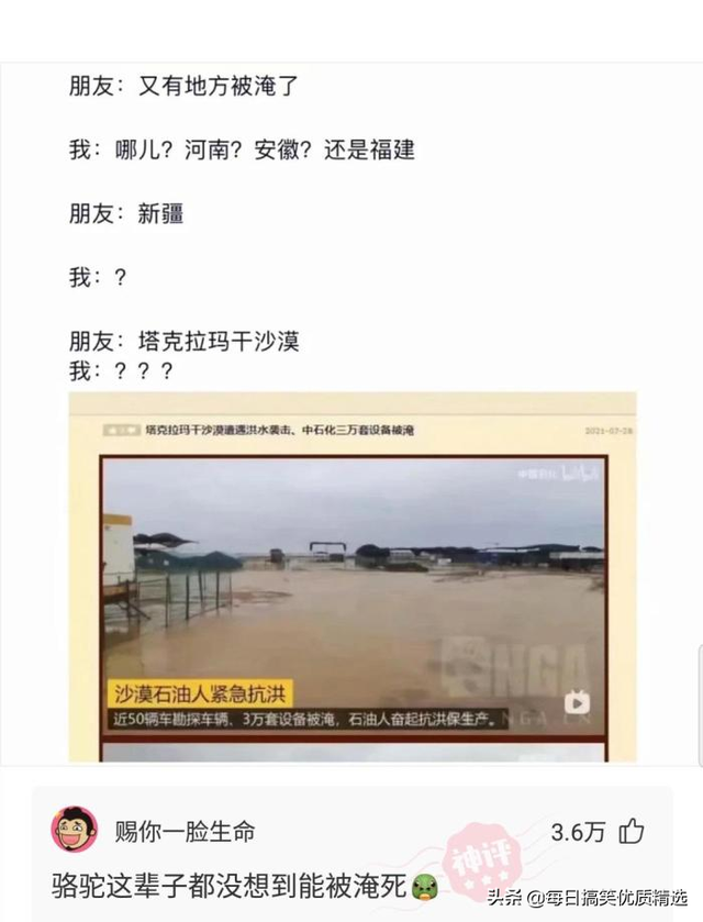 别扒拉我恐龙情侣头像，恐龙情头微信（神回复：这是什么样的古董）