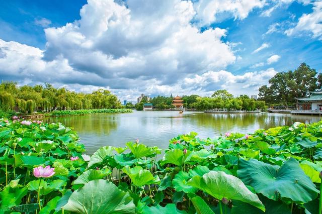 云南旅游景点大全，云南省各州市旅游景点大全（轻松玩转春城昆明）