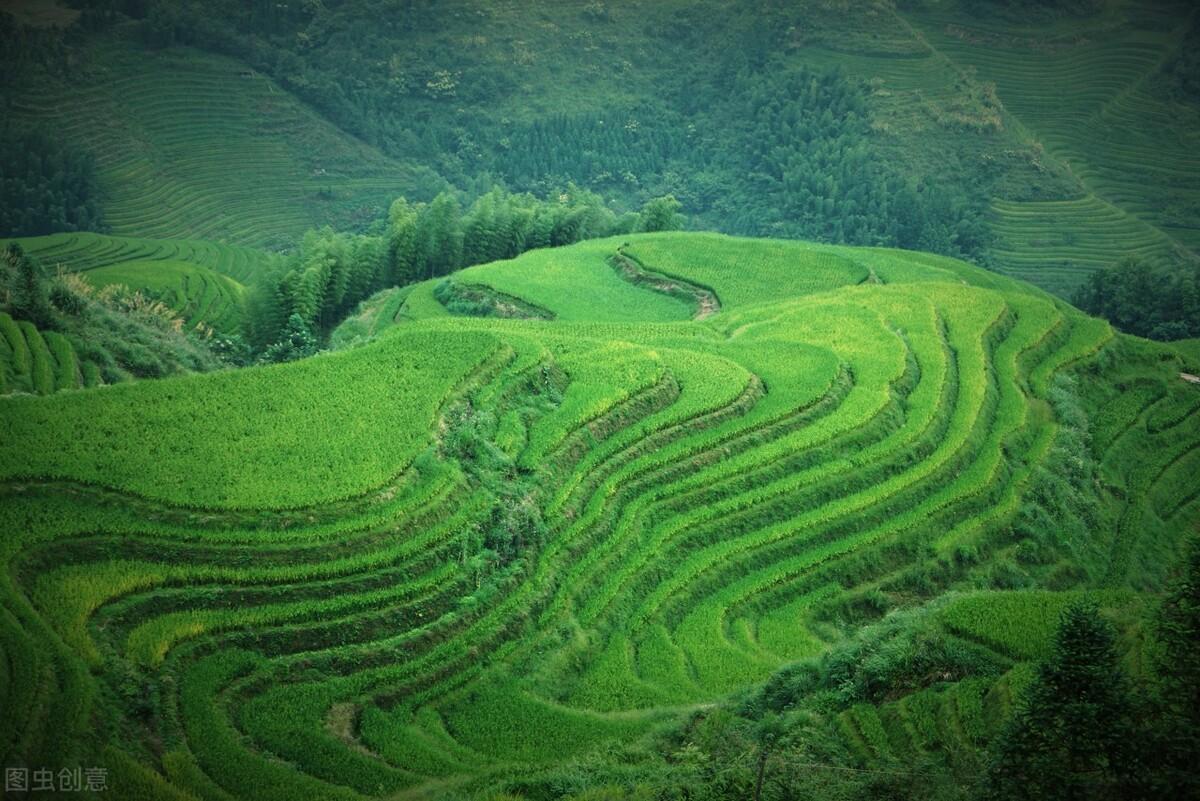 桂林旅游攻略必去景点推荐（最值得去的10个景点，少去1个都可惜）