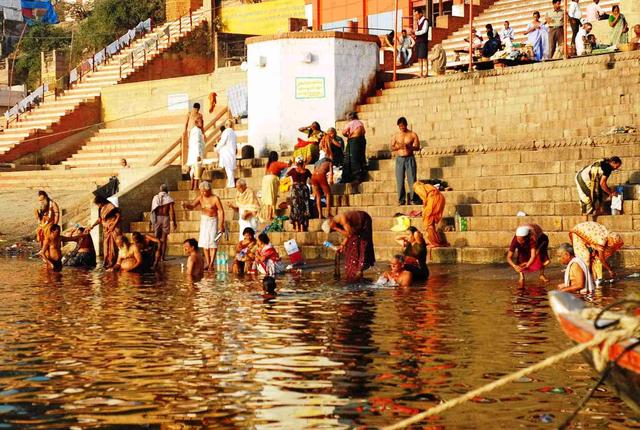 巴西龟可以吃吗，自养的巴西龟能吃吗（巴西龟在我国泛滥成灾）