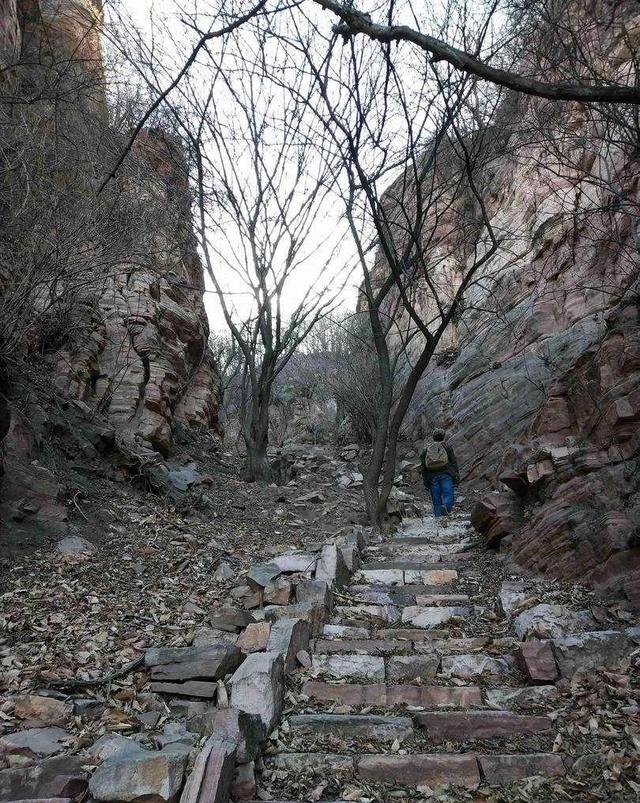 平字的拼音，平字的拼音大写（《凹凸平谈》）