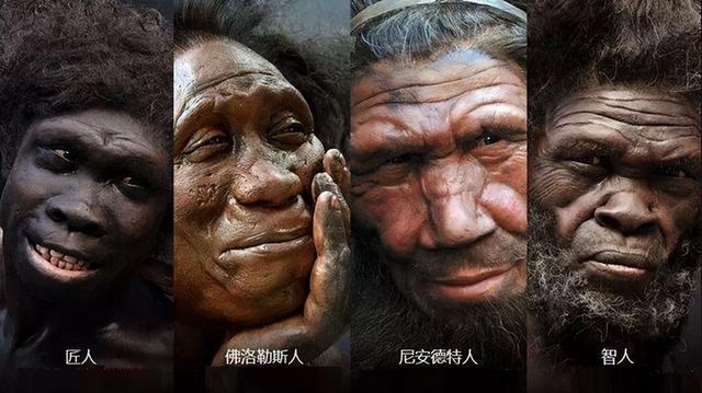 地球上有哪些人类族群，地球除了人类还有什么种族（为什么最后只剩下了我们智人）