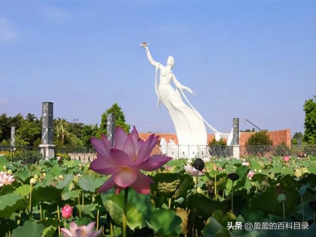 佛山有什么好玩的，不得不去的六个地方（佛山八大值得去的景点）