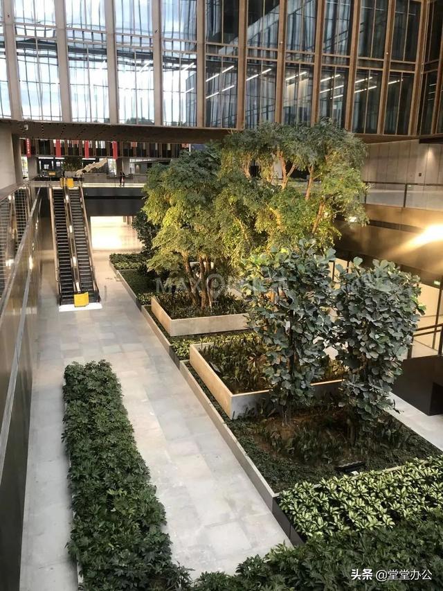英蓝国际金融中心，圆柱木模板参与打造厦门英蓝国际金融中心项目（盘点北京租金前十的写字楼）