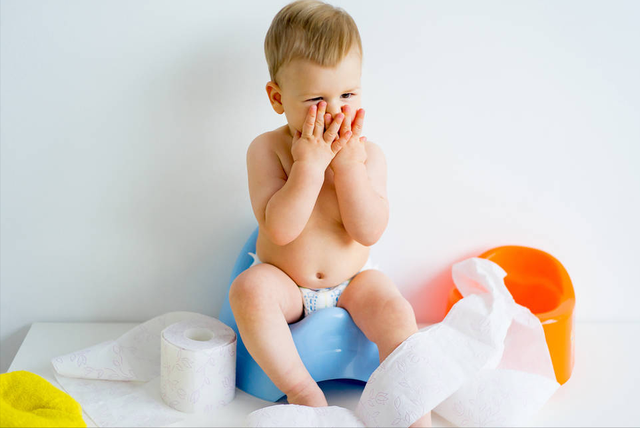 尿片怎么用，答案：没有，“等”就行了（宠物尿片怎么用）