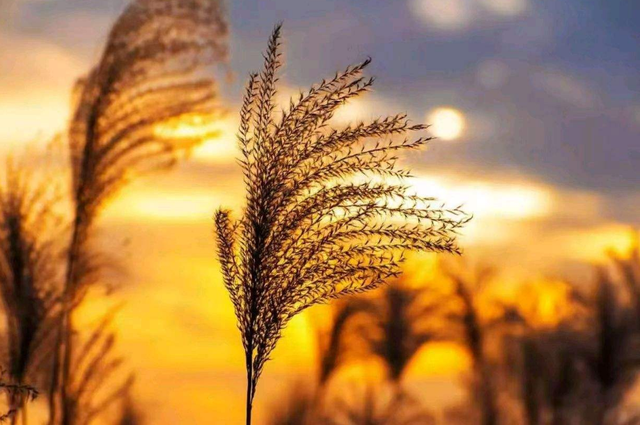 记录美好时光的句子，记录美好时光的短句（怀念曾经的美好时光）