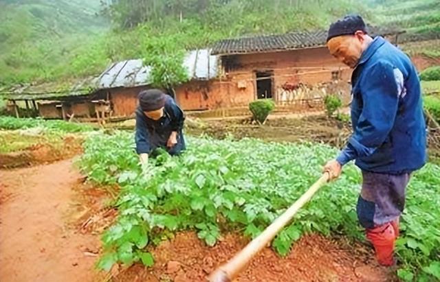 五彩米花糖做法图解，手工制作米花糖图片（5.20 凿进“天梯”里的爱）