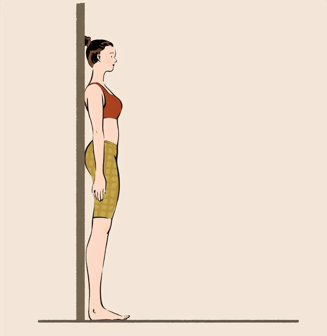 脂肪怎么减，屁股上的脂肪怎么减（科普/没时间运动 该怎么减重）