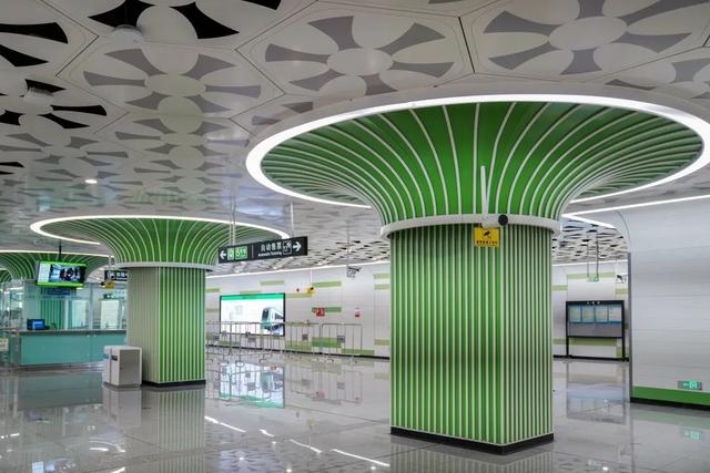 豹龟结石，昆明地铁5号线，首！发！见（肾结石会有啥症状）