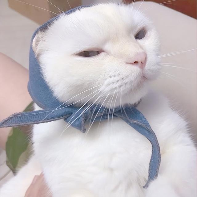 一年级歇后语有哪些，一年级歇后语有哪些（歇后语分享，你还知道哪些）