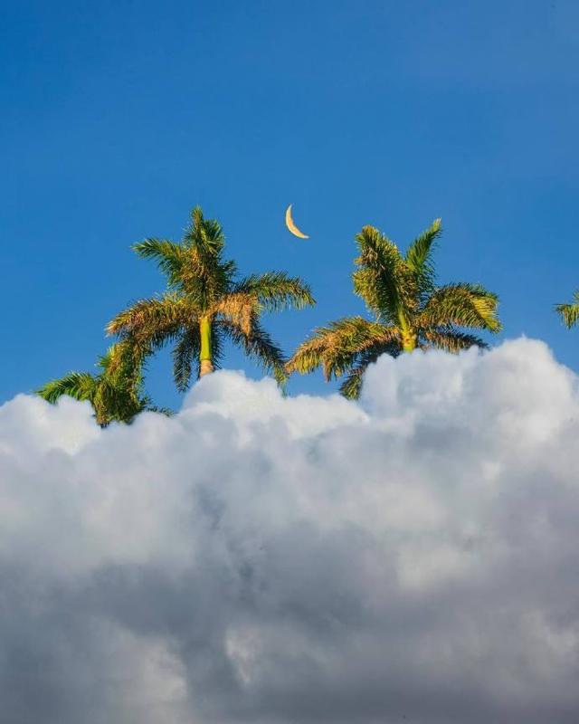 平安幸福的格言，平安是福名言（写给自己保持好心态的人生格言）