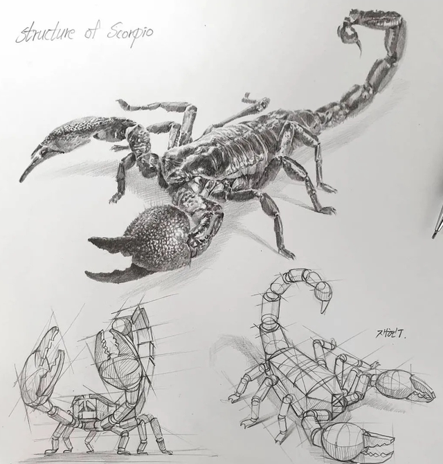 素描技巧和画法，画好素描的步骤（素描丨画好素描不是一蹴而就的）