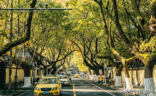 南京有什么玩的，南京最值得玩的景点有哪些免费的（南京6个很美的旅行地）