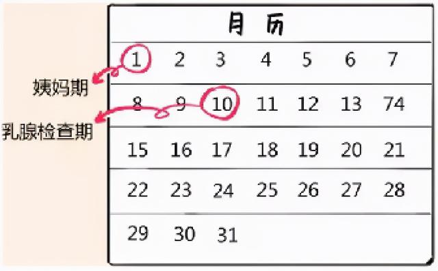 bra是什么，bra是什么尺码（这些胸部相关的小知识你一定要知道）