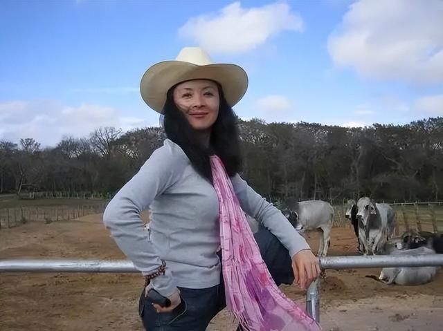 陈烨个人资料男，陈烨（60岁花27万美元包机回国）