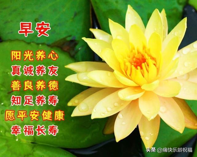 八个字的简短祝福语有哪些，八个字的祝福句子（8月8日周一早晨问好祝福语）