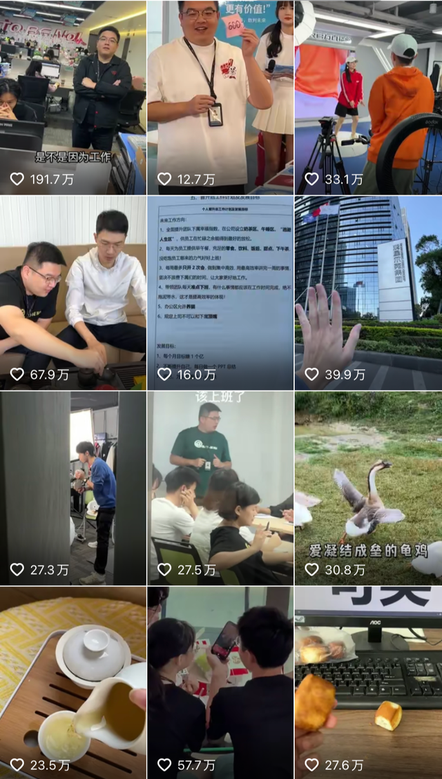 打工人语录有哪些，打工人语录长（沪上阿姨摆烂，被网友看出心机）