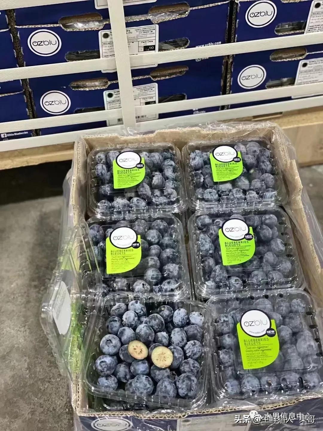 浆果是什么，浆果是什么软件（不同水果的不同包装<浆果篇>）