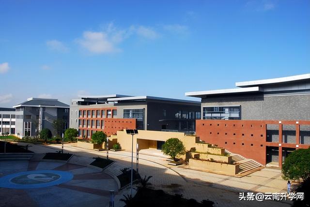 云南中医药大学继续教育学院，云南中医药大学（报考云南中医药大学需要达到什么条件）