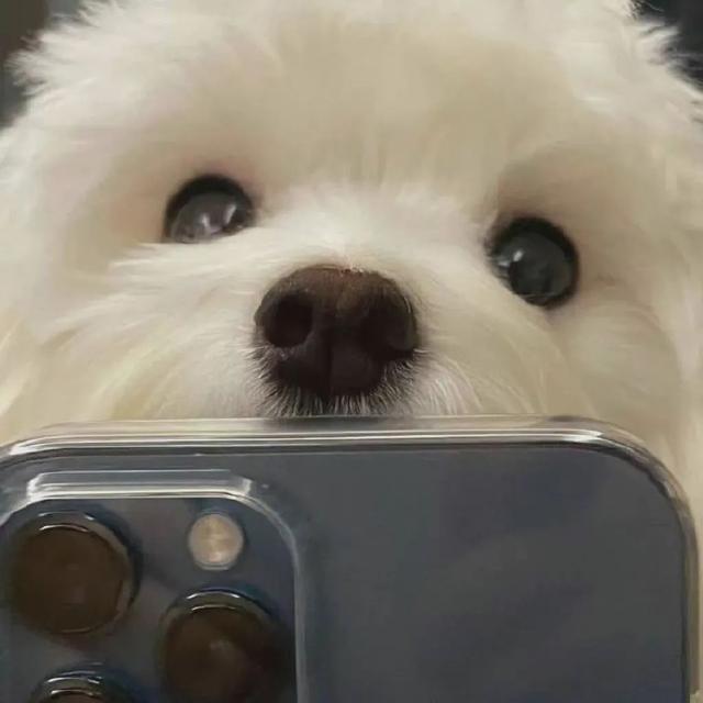 简单可爱一点的微信头像，简单可爱的头像