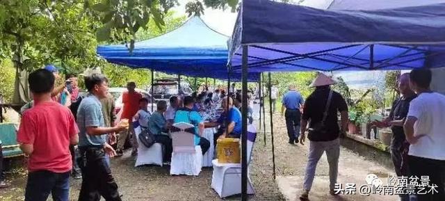 7月开什么花，哪些花是夏天开的（八月花飞万物生）