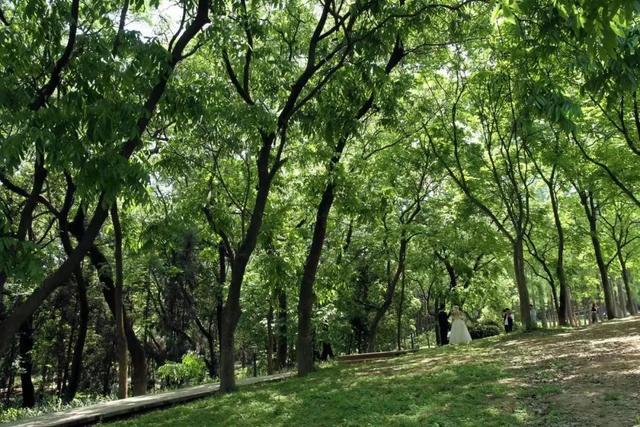 距离成都2小时小众的露营基地，成都近郊9个小众徒步露营耍水地