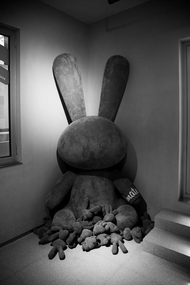 适马dp1，适马Dp1改口后配什么镜头（是时候考虑相机升级或更新的最终解决方案了）