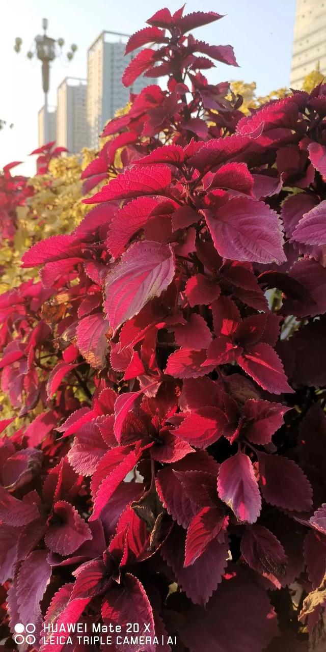 灵魂相似的人一旦相逢，灵魂相似的人一旦相逢是知心朋友（总有一天会在路上相逢）