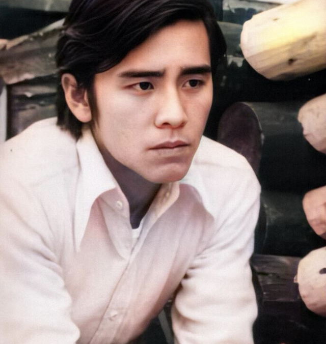 中国十大帅哥排名，中国的10大帅哥（10位巅峰时期的男星）