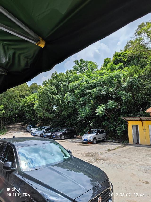 丰乐农庄,中山五桂山的丰乐农庄蒸鸡(丰乐农庄花儿农场)