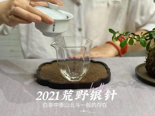 白毫银针怎么泡，白毫银针如何冲泡（好几千买的白毫银针）