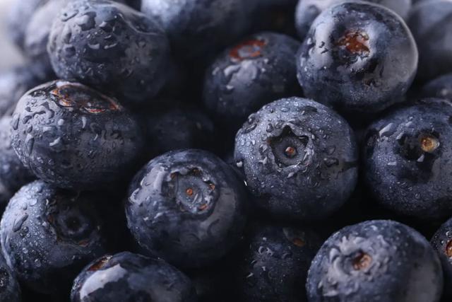 蓝莓几月份成熟，蓝莓什么时候结果（蓝莓丨春季的“高端水果”熟了）