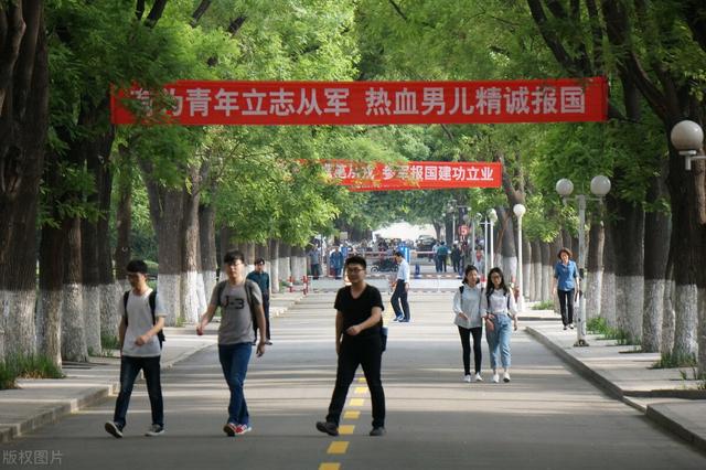 选调生下半年招人，“参军入伍”经历可以报考，来看看认定标准