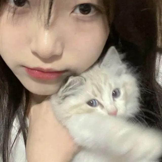 猫系女孩，微信头像，猫系女孩（女生头像：抱猫头像）