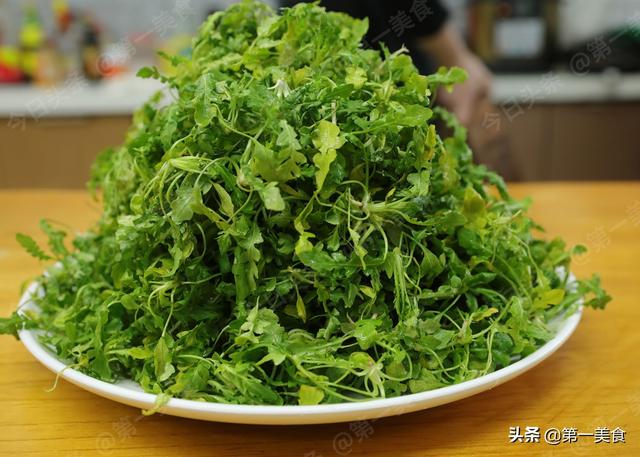 立春那天可以出门吗，立春可以出门吗（4个生肖要“躲春”）