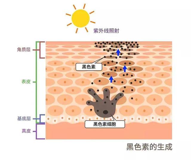 黑色素会自己消失吗，痘印变成黑色素沉淀会自动消失吗（关于黑色素）