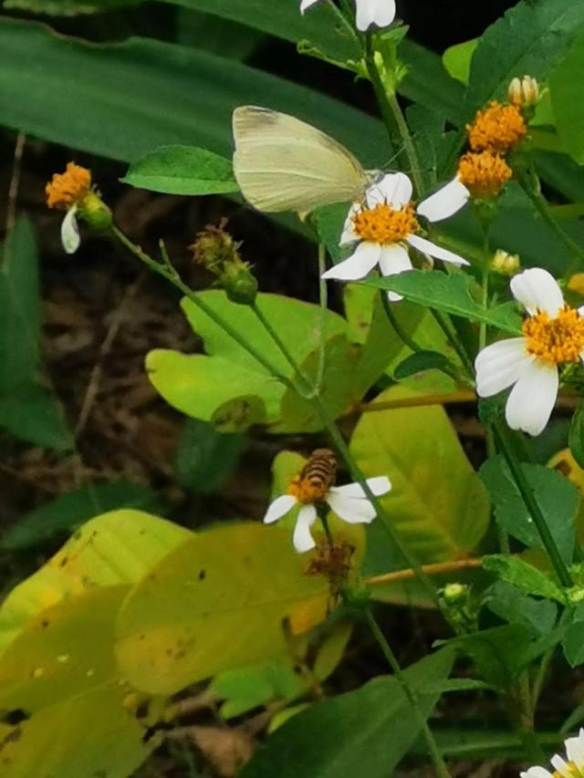 灵魂相似的人一旦相逢，灵魂相似的人一旦相逢是知心朋友（总有一天会在路上相逢）