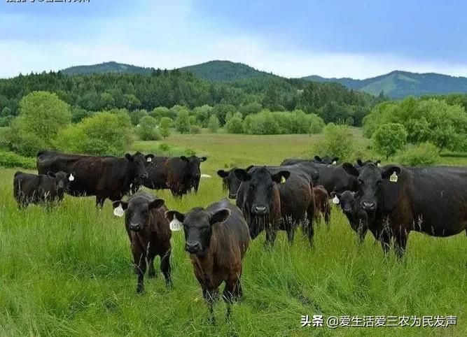 0个偏门暴利赚钱项目(十大偏门赚钱项目)"
