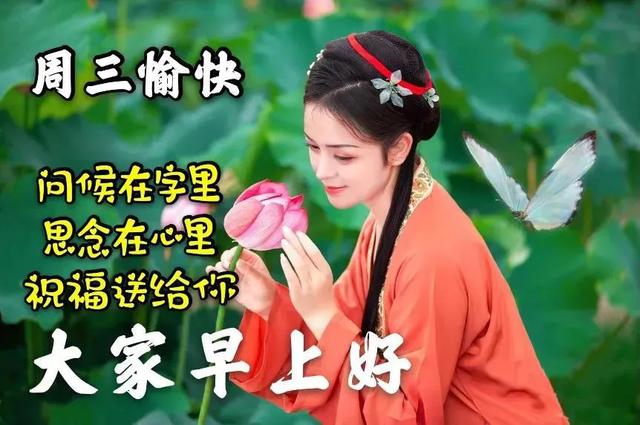 励志早安心语正能量，每天励志正能量早安语（正能量生活语录句子）