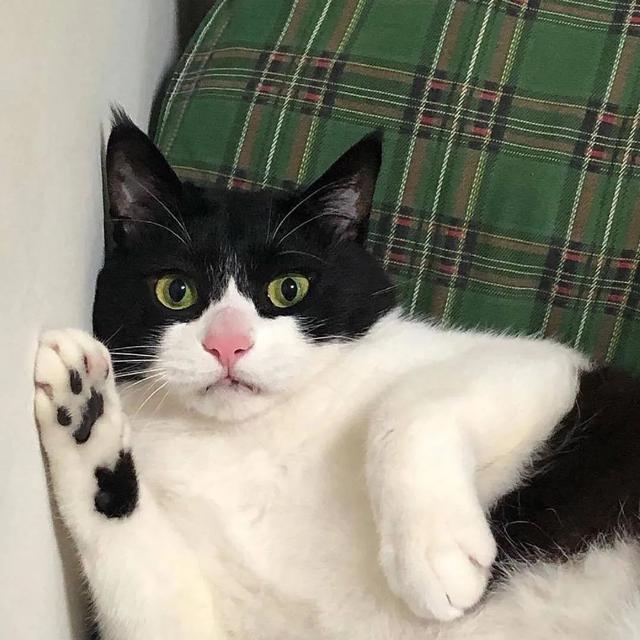 超甜的情侣头像，超级甜的情头微信（130张情侣、闺蜜头像）