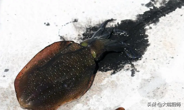 墨鱼的功效与作用，墨鱼的功效是什么（墨鱼的“墨汁”和墨水有啥区别）