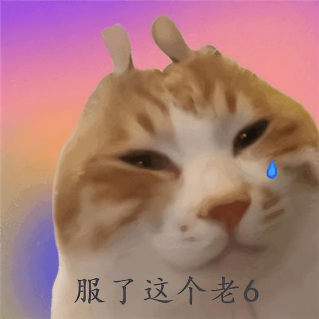 可达鸭是什么梗，可达鸭是什么梗图片（2022年近期热梗）