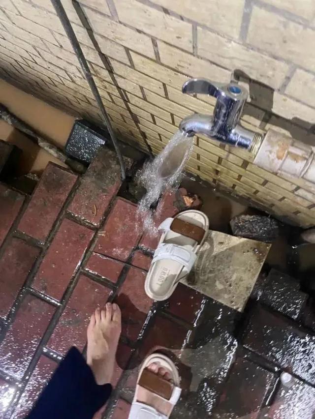 沙堤机场是什么地方，沙堤机场是什么地方靠近哪里（广东佛山机场要改造了）