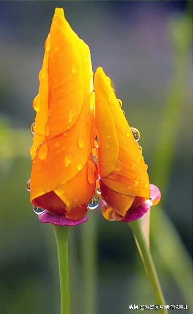 美美美的，美美美的表情包（壁纸美图）