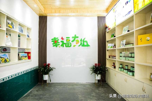 长沙自驾游攻略，长沙旅游攻略最佳路线推荐自驾游（藏在长沙近郊的“大观园”）