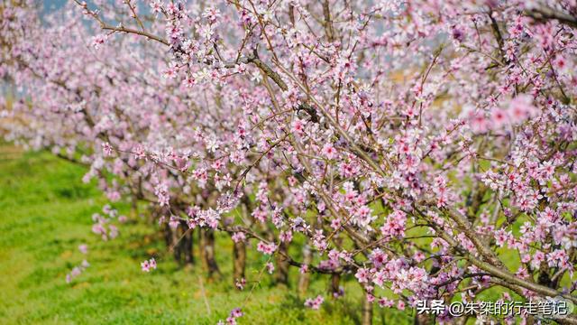 六安旅游景点哪里好玩，六安必游景点（自驾800公里大别山风景道必去之地）