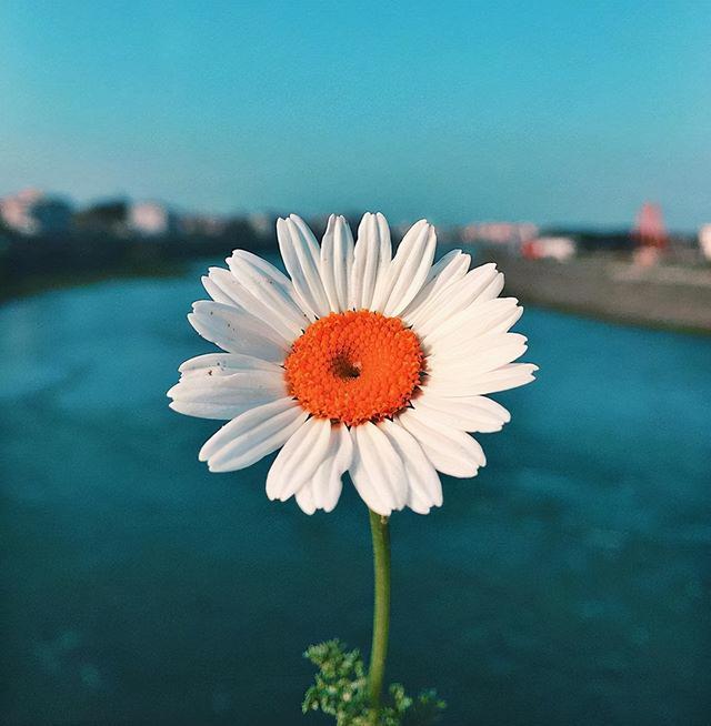 比较抑郁的一段话，很丧很抑郁的话（很丧很抑郁的心情句子）