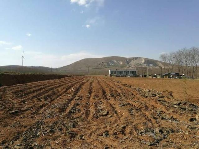 粮食大涨价预示着什么，粮食大涨价预示着什么问题（粮价大涨，3类农民后悔了）